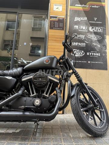 Harley Davidson Sportster Iron 883