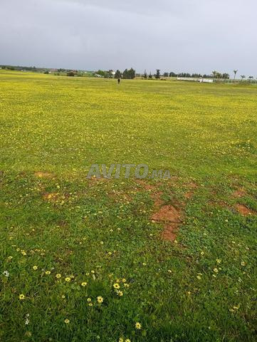 Terrain Agricole 20 Hectares Titré à Ait Malek