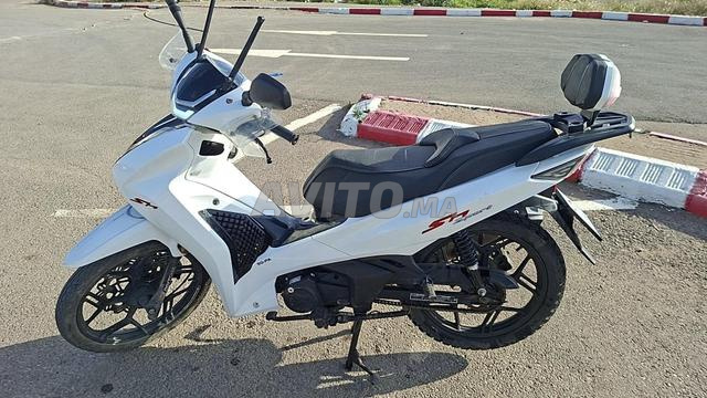 SH Daytona à vendre - 2