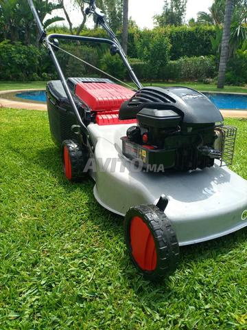 Tondeuse à gazon - 2