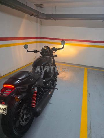 Harley-Davidson Street Rod 750 – WW Maroc - 2