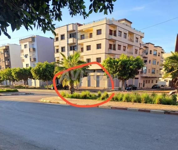 Local Chouka 6 Rideaux 181m² Salé Med V - 2