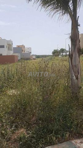 أرض حضرية محفظة للبيع صالحة لبناء فيلات وشقق - 2