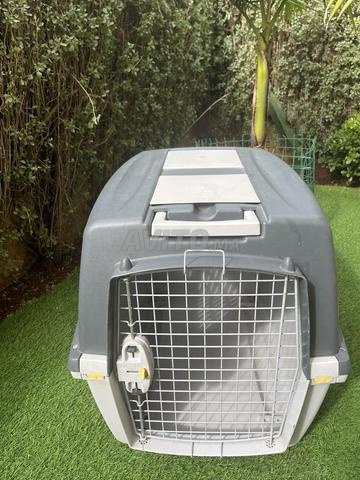 🐾 Cage de transport pour chien / animal 🐶 - 2