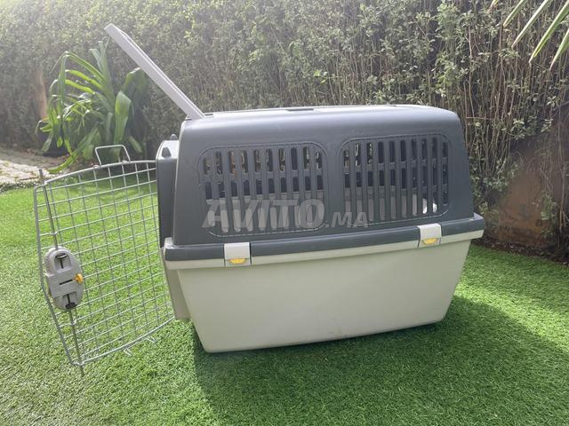 🐾 Cage de transport pour chien / animal 🐶