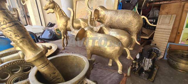 éléphant cheval - 2