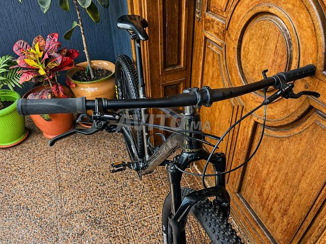 دراجة جبلية أوربيا كاربون 12 سرعة - 2