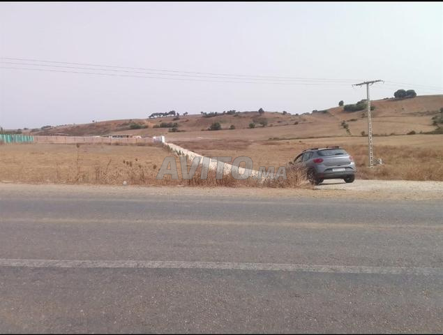 Belle terre juste à côté d'Asilah à Oued Gharbia