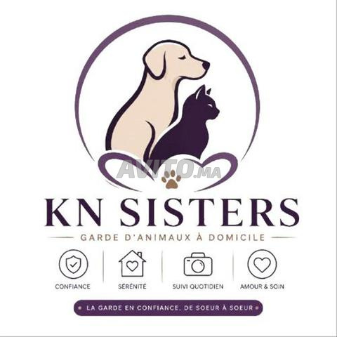 Garde d'animaux à domicile