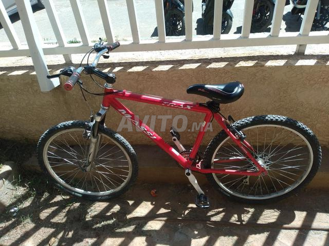 بيكَالا كوستوا - 2