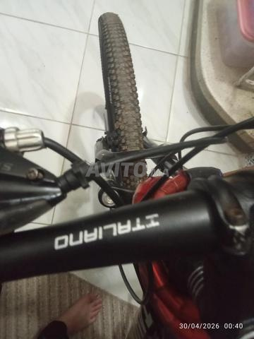 دراجة إيطاليانو - 2