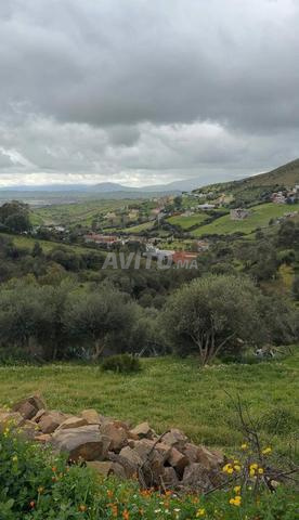 Terrain à Melloussa Rouman Tanger - 2