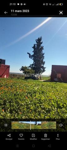 Vente ferme équipée - 2