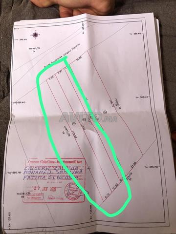 Terrain à vendre de plus de mille mètres