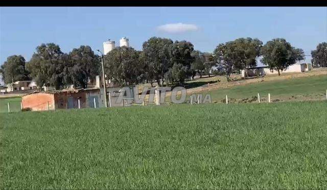 أراضٍ فلاحية محفظة بالبئر الجديد للسكن والاستثمار - 2