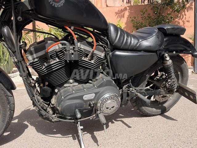 Harley Davidson - Iron 883 - 2