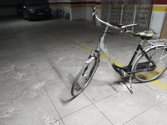 Vélo hollandais - 2