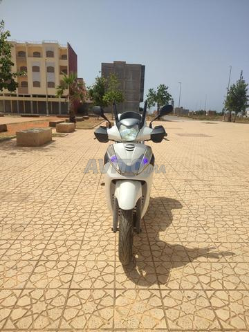SH Honda 300 - 2