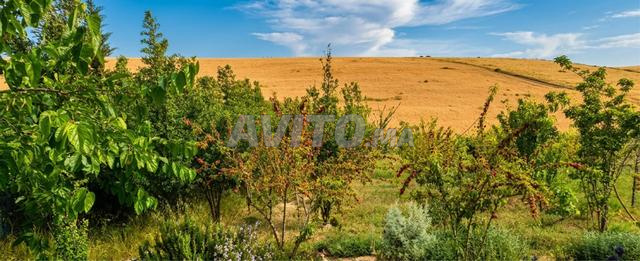 Fermes titrées à vendre à Sehoul (env. Rabat Salé)