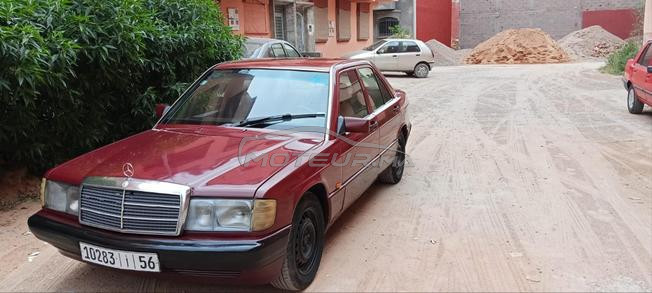 بن كرير المدينة