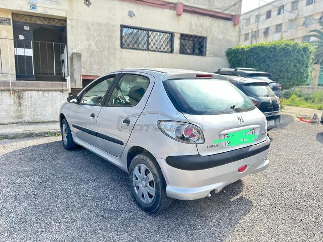 Peugeot  206