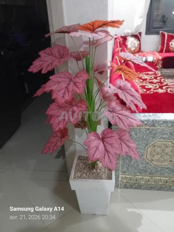 A VENDRE PLANTE ARTIFICIELLE