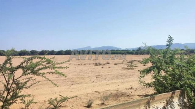 أرض فلاحية محفظة للبيع على الشياع - 2