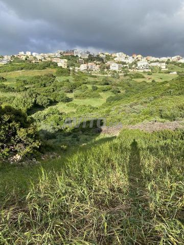 أرض للبيع تقع في منطقة المنار-طنجة - 2