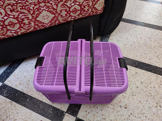 Cage de transport pour les chats 🐱🐈 - 2