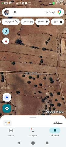 Terrain titré à vendre 8000m² - 2
