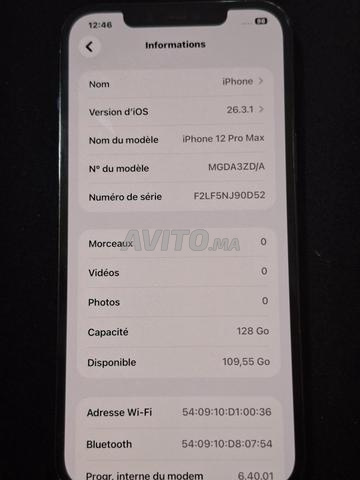 12 pro max