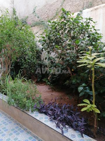 Qui cherche une villa ou petite villa à Agadir