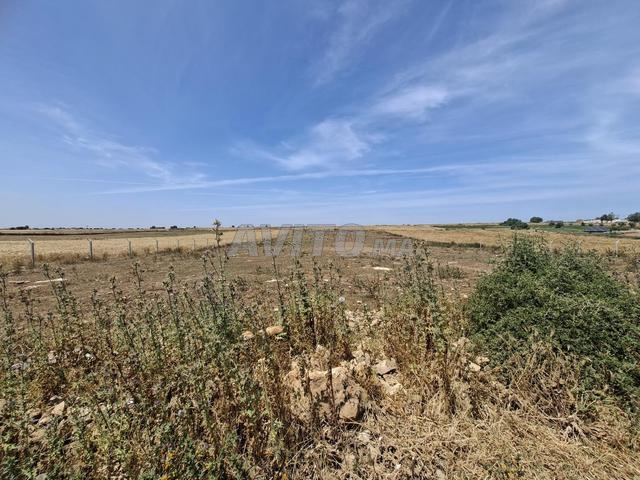 Terrain loisirs / Wlad Frej - 2