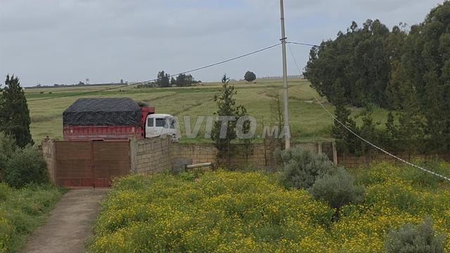 Ferme titrée à Ouled Abbou - 2