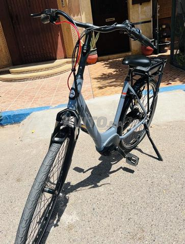 Vélo Électrique Gazelle Paris (Moteur Bosch) - 2