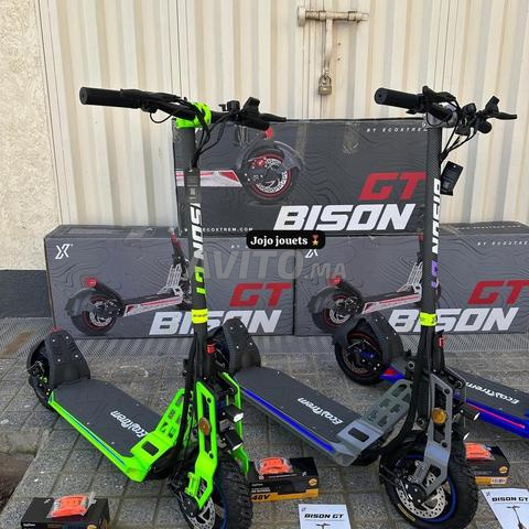 Trottinette électrique BISON GT 1000 W - 2