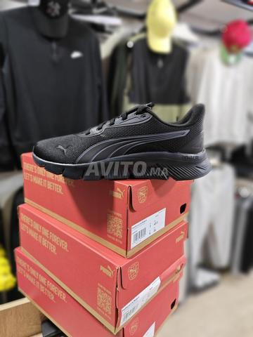 Puma originale