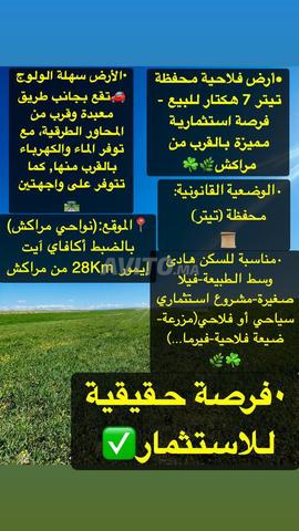 أرض مسجلة بمساحة 7 هكتار بسعر استثنائي - 2