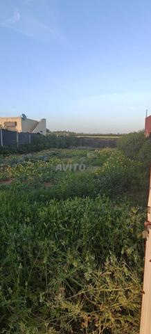 Terrain à vendre 🤩 أرض للبيع - 2