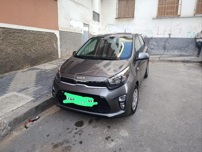kia.  picanto