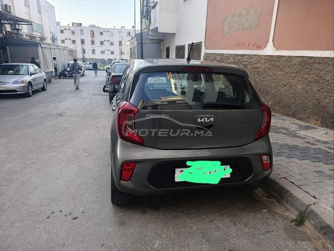 kia.  picanto