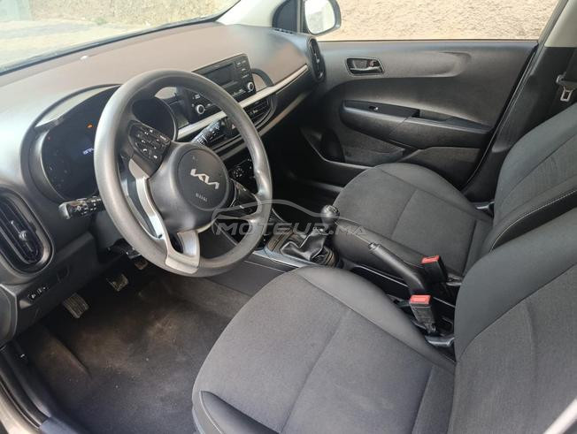 kia.  picanto