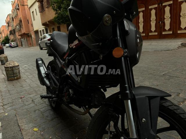 Cimatti Monster Evo 2