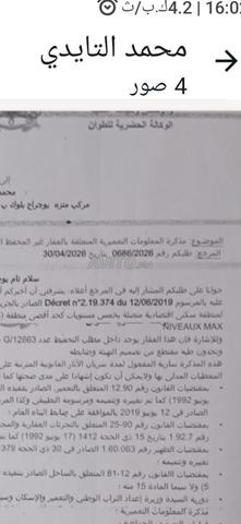 شارع المحمدية التوتة تطوان - 2