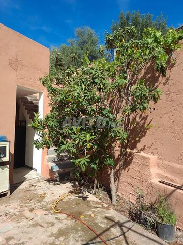 Une petite villa sur la route d'Ourika - 2