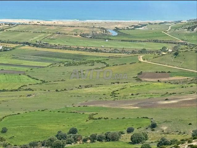 Terrains enregistrés et équipés à vendre sur la plage de Sidi Mghayth - 2