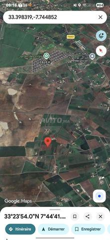 3 Hectares Titrés 10min à Bouskoura - 2