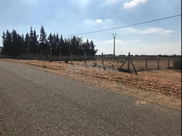 2,3 hectare sur goudron - 2