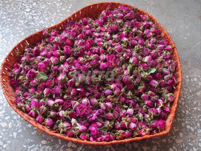 rose beauté mgouna - 2