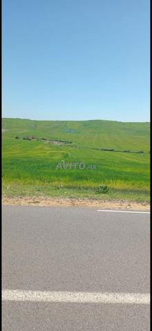Terrain agricole - 2